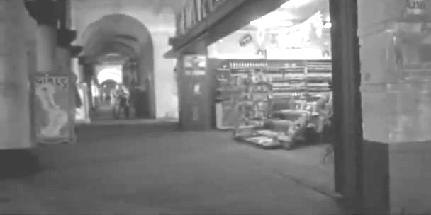 Natural movie frame stimulus