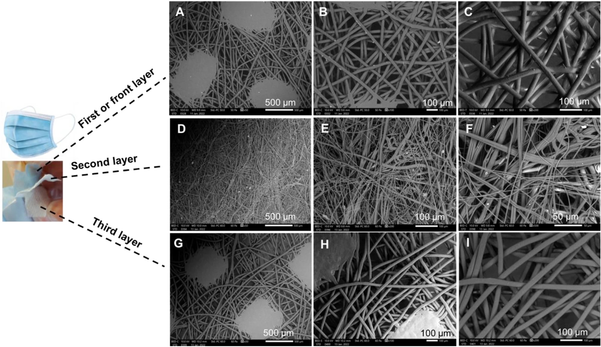 SEM image of a face mask